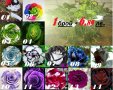 Готови за засаждане роза - 14 различни от най -  редки сортове и цветове, Промоция до изчерпване на 
