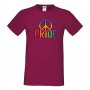 Мъжка тениска Pride 1 multicolor Прайд,Празник.Повод,Изненада, снимка 3