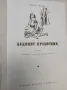 Бедният прахосник - Ернст Вайс , снимка 2