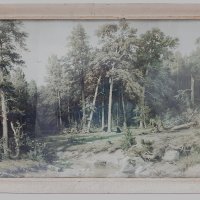 Стара картина - принт в рамка под стъкло(3.4), снимка 2 - Антикварни и старинни предмети - 42588916