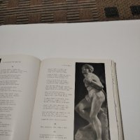 Каталог на Микеланджело , снимка 5 - Антикварни и старинни предмети - 44466557