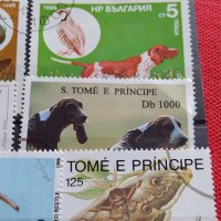 Пощенски марки смесени от цял свят ЖИВОТНИ за КОЛЕКЦИЯ 22615, снимка 7 - Филателия - 40344342