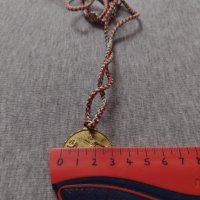 Интересен медал за колекция декорация - 25948, снимка 5 - Други ценни предмети - 34523048
