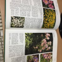 Цветна Енциклопедия - A-Z of perennials -Successful Gardening, снимка 4 - Енциклопедии, справочници - 30873235