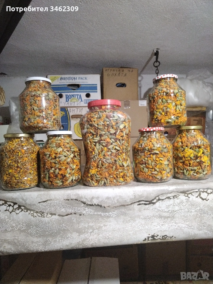 Билка , снимка 1