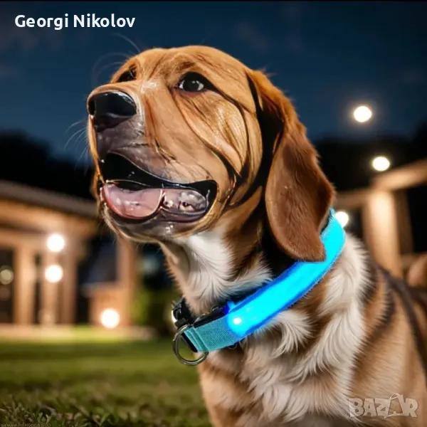 Светеща кучешка кайшка, снимка 1