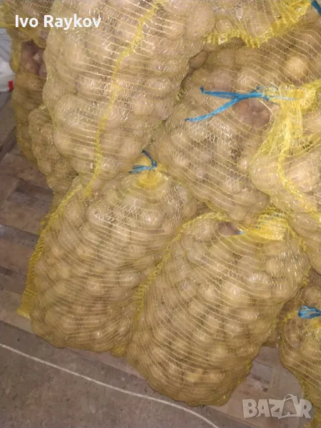 Картофи, Френско за чипс , Резене , Rezene, снимка 1