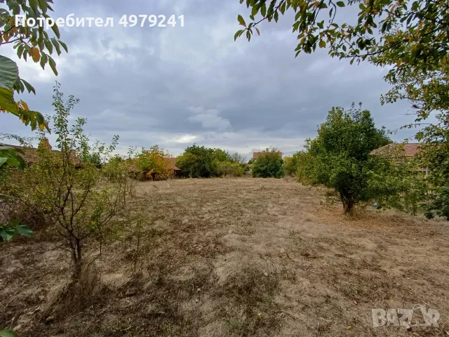 Къща с двор в село Зимница, снимка 6 - Къщи - 56510078