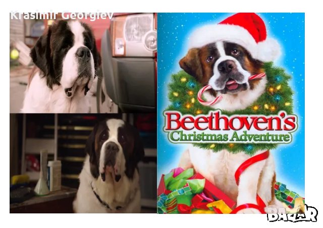 Продавам dvd дискове с филми Бетовен , снимка 2 - DVD филми - 48508237