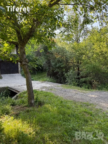 с. Голям Извор Къща с  двор, снимка 13 - Къщи - 51414624