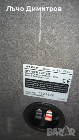 SONY SS-ZX10, снимка 12 - Тонколони - 54028182
