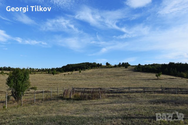 Къща за гости Брашненица в с.Невестино, снимка 12 - Селски туризъм и култура - 34411273