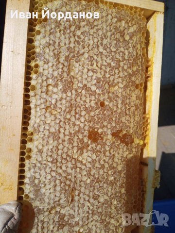 Пчелен Мед , снимка 5 - Пчелни продукти - 39001383