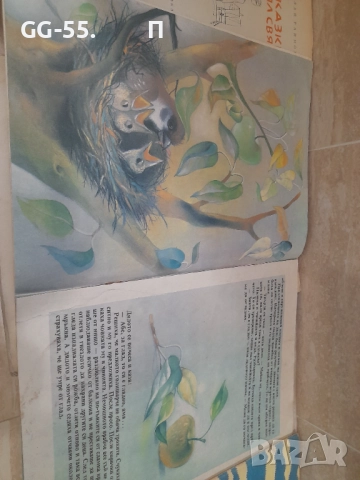 Стари детски книжки, снимка 8 - Колекции - 52652519