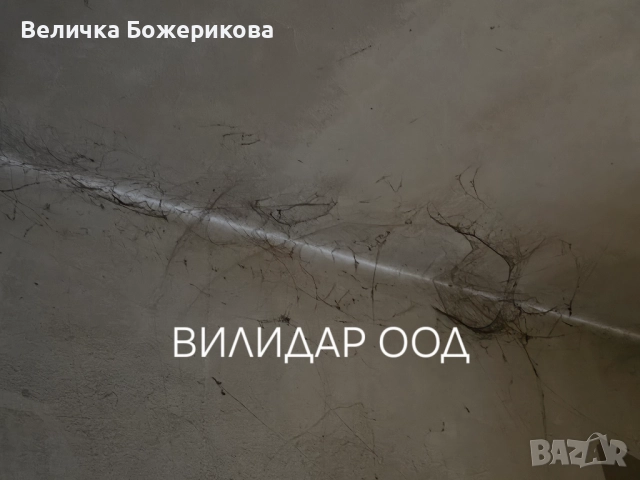 Почистване на домове, снимка 3 - Почистване на домове - 52566889