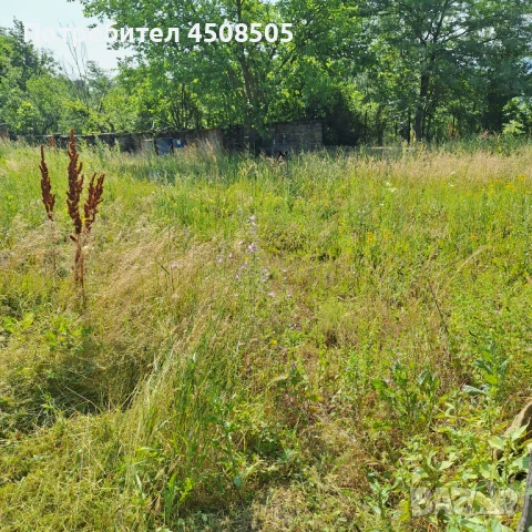 Поддръжка на вашия имот/Вила и парцел , снимка 8 - Други - 50729474