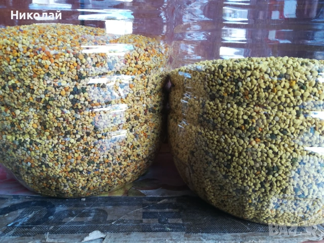 Акациев мед ,мед от акация,пчелен прашец , клеева тинктура, снимка 4 - Пчелни продукти - 52769396