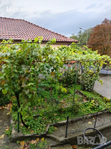 къща за гости , снимка 17 - Къщи - 54173811