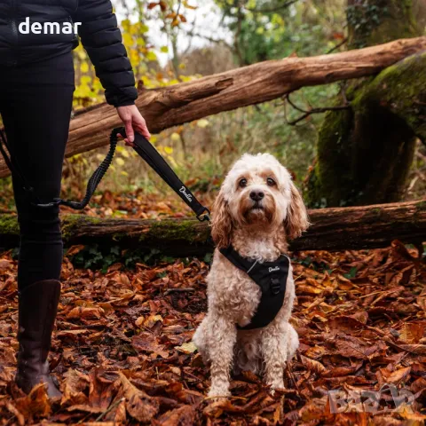 Mikki Doodles Многофункционален повод за кучета, 1,45 метра дължина, 2,5 см ширина на лентата, снимка 8 - За кучета - 49687328