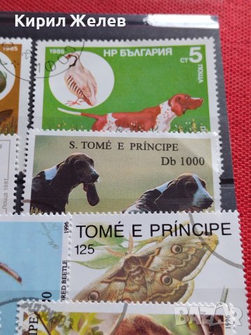 Пощенски марки смесени от цял свят ЖИВОТНИ за КОЛЕКЦИЯ 22615, снимка 7 - Филателия - 40344342