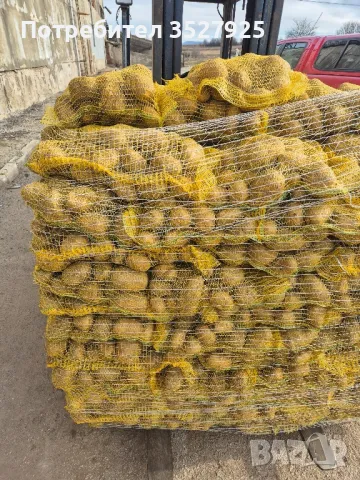 Продавам картофи, снимка 7 - Домашни продукти - 47756553