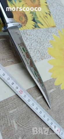 Рядък немски ловен нож -,,FES - Solingen" , снимка 8 - Ножове - 54094892