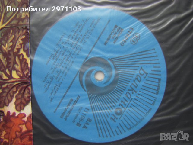 ВАА 11108 - Приказките на баба: композиция по народни приказки, песни, гатанки и пословици, снимка 3 - Грамофонни плочи - 35566457