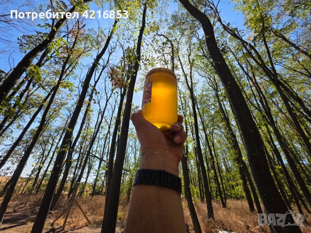 Пчелен мед реколта 2025г., снимка 5 - За пчели - 51548700