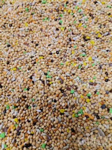 Смес\храна за вълнист папагал, снимка 3 - За птици - 14937825