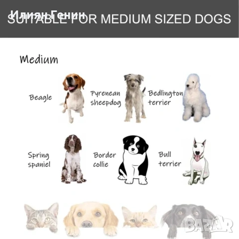 Сгъваема метална клетка за кучета PawHut, снимка 13 - За кучета - 54164257