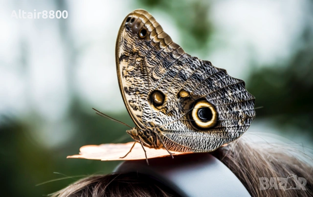 Nikon AF-S 55-200mm f/4-5.6G ED VR обектив Никон, снимка 15 - Обективи и филтри - 53014652