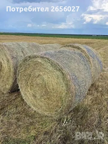 Бали ливадно сено област Враца размери 150/120, снимка 2 - Крави - 56272617