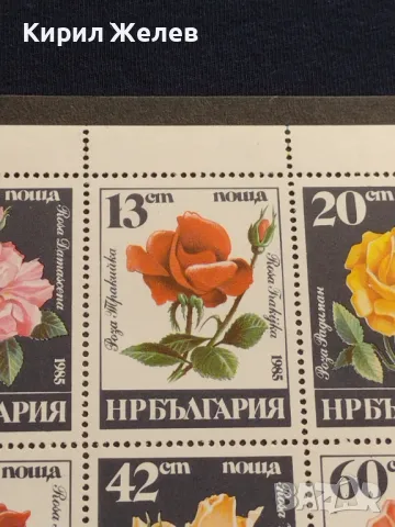 Пощенски марки чиста комплектна серия ЦВЕТЯ РОЗИ поща НРБЪЛГАРИЯ за КОЛЕКЦИОНЕРИ 46723, снимка 3 - Филателия - 47321137