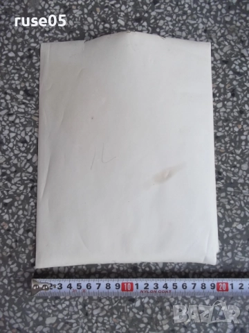 Снимка стара на българи облегнати на мантинелата в Америка, снимка 3 - Колекции - 51597217