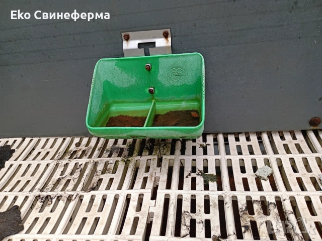 Повдигнат бокс свине майки лактиращи/млекарски/ - раждане и бозайници. , снимка 4 - Прасета - 51878042