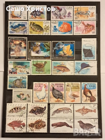 Пощенски марки тема ”Животни”., снимка 6 - Филателия - 52699226