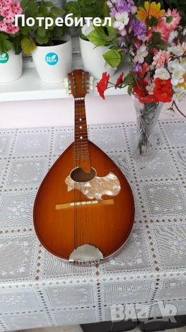 мандолина Кремона нова