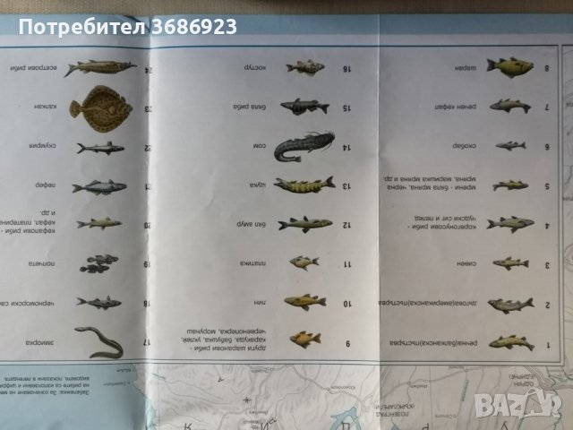 Рибите на България, снимка 6 - Екипировка - 42124800