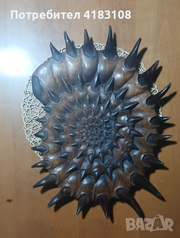 Голямо пано ръчна дърворезба Ноутилус - орех, снимка 3 - Пана - 52910588