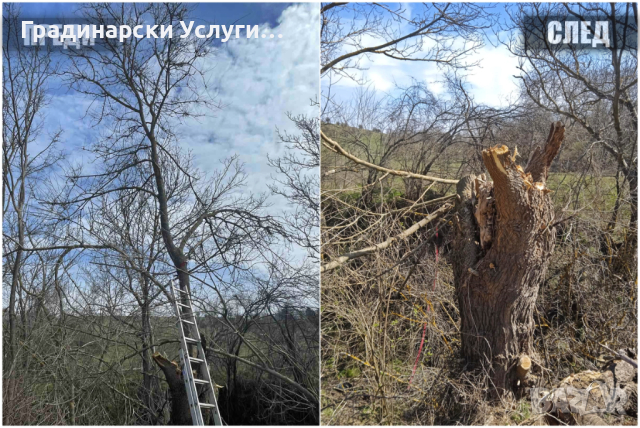 ПРЕДЛАГАМЕ Грижа за гробни места, косене на тревни площи и Соларни паркове, снимка 5 - Други почистващи услуги - 44699706