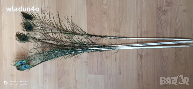 	Паунови пера-2,50лв, снимка 5 - Декорация за дома - 50191512