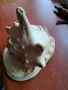 голям морски охлюв раковина, снимка 4
