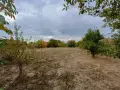 Къща с двор в село Зимница, снимка 6