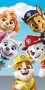 Детски кърпи за плаж или за къпане модел " Paw Patrol ", снимка 3