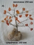 Дървото на живота разни - списък, снимка 6