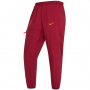 Дамски спортeн панталон Nike FC Liverpool Dri-FIT DA9780-677