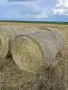 Бали ливадно сено област Враца размери 150/120, снимка 2