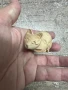 Дървена котка - ръчна изработка , снимка 1
