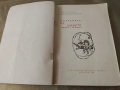 В страната на живите мъртъвци - Коста Маринов , Ангелина Атанасова, снимка 4