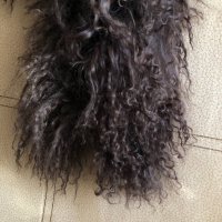 Шал естествен косъм от лама , снимка 3 - Шалове - 34405754